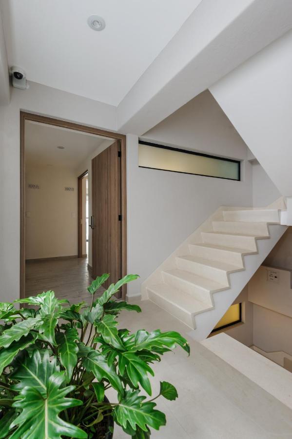 Choapan 28 - Lux Apartments In Condesa Cidade do México Exterior foto